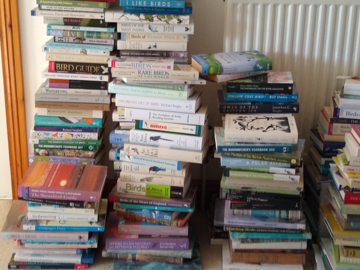 Gordon Hamlett tweet media