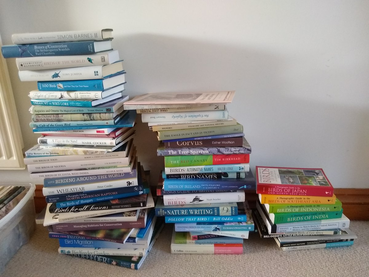 Gordon Hamlett tweet media