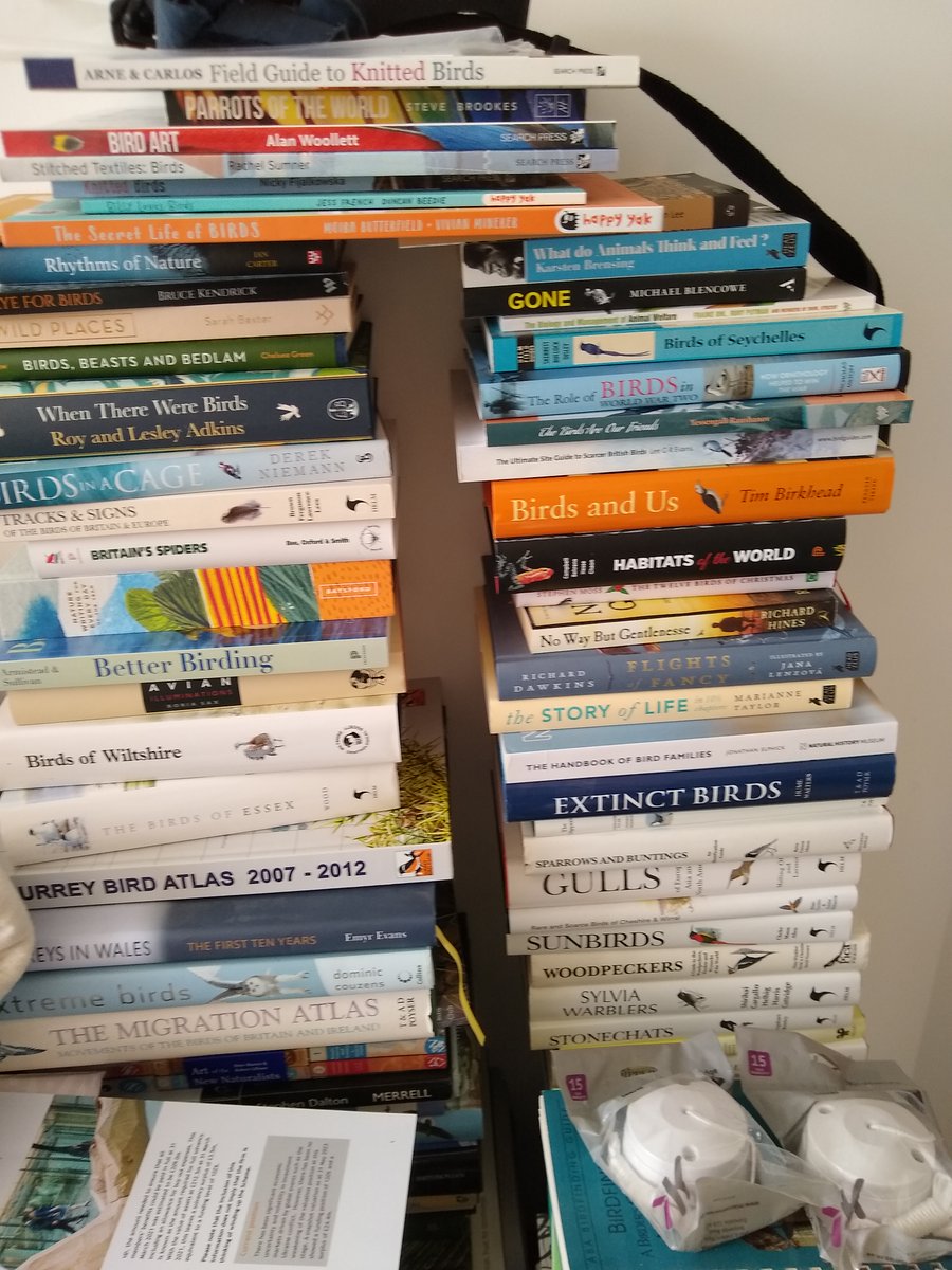 Gordon Hamlett tweet media