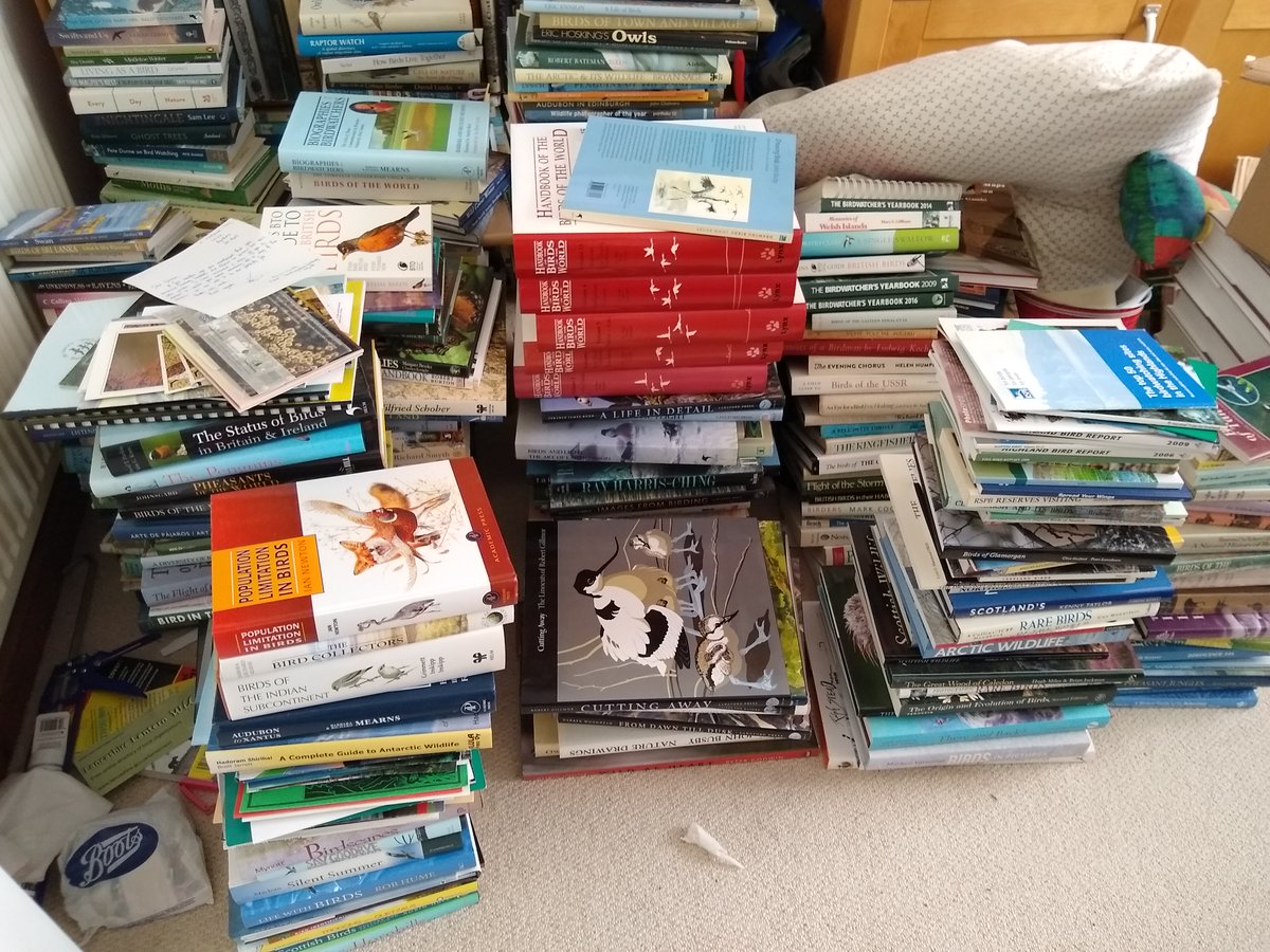 Gordon Hamlett tweet media