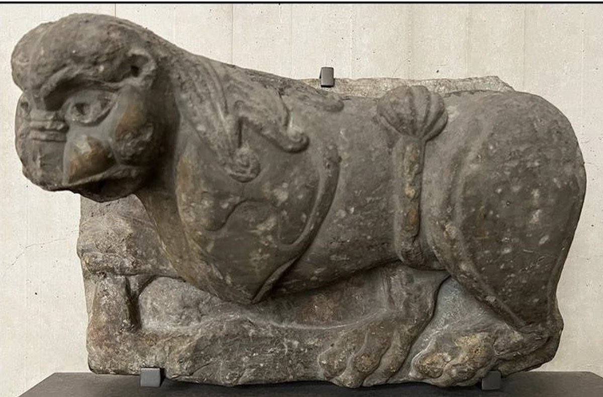 Francisco Prado tweet media