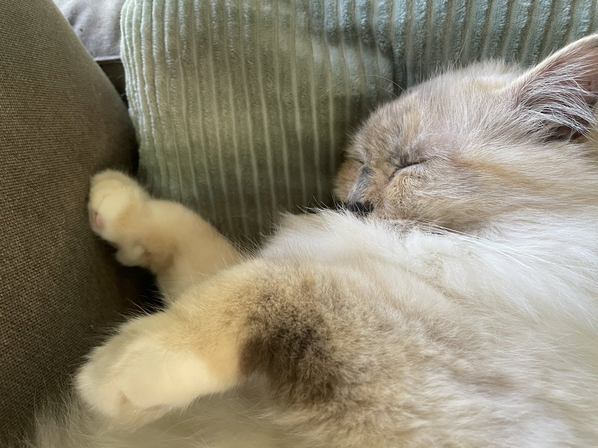 Kimi ligt alwéér te slapen #slaapkees