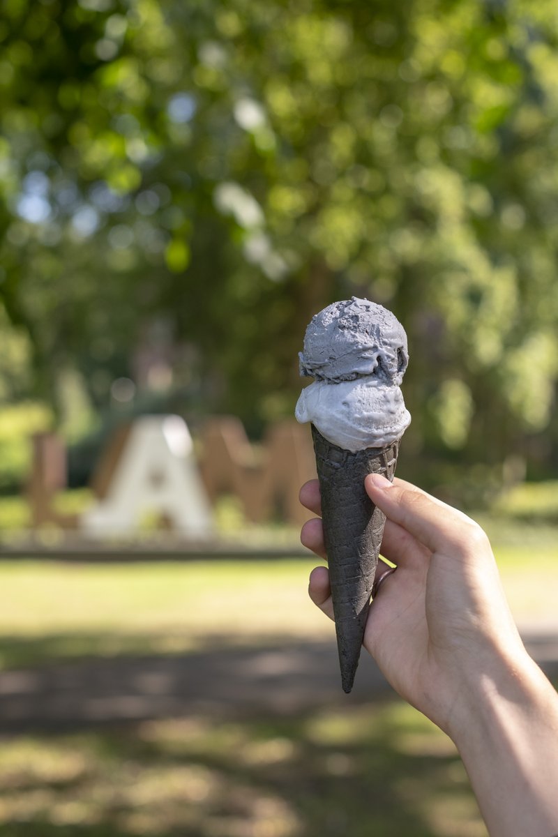 Deze zomervakantie staat het LAM museum in het teken van ijs. Ze nemen je smaakpapillen in de maling met heerlijke ijsjes. De smaken? Aan de kleur kan je het in ieder geval niet herkennen. Proef je met je mond, neus of met je ogen? Kom erachter bij het LAM museum! 🍦