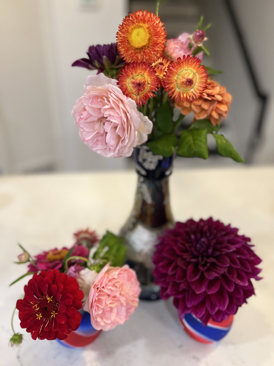 Even my inexpert arranging in can’t take away from the gorgeousness of the farm flowers. Thank you ⁦<a href="/uw_farm/">UW Farm</a>⁩ for making my day brighter and just a bit more joyful!