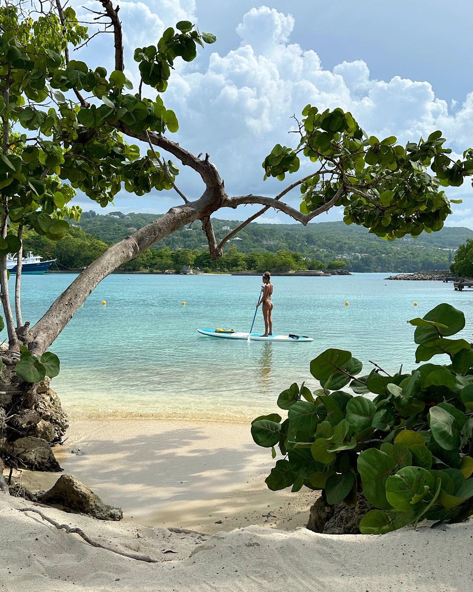 Chantel Jeffries tweet media