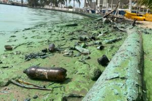 infopublicave's tweet photo. #EnZulia: pescadores de El Bajo,municipio San Francisco, denunciaron que están en quiebra por los constantes derrames de petróleo en el Lago de Maracaibo. Además,exigieron soluciones e indemnizaciones al presidente de Pdvsa,Pedro Rafael Tellechea, y a la administración de Maduro. https://t.co/ihjEZ6j54X