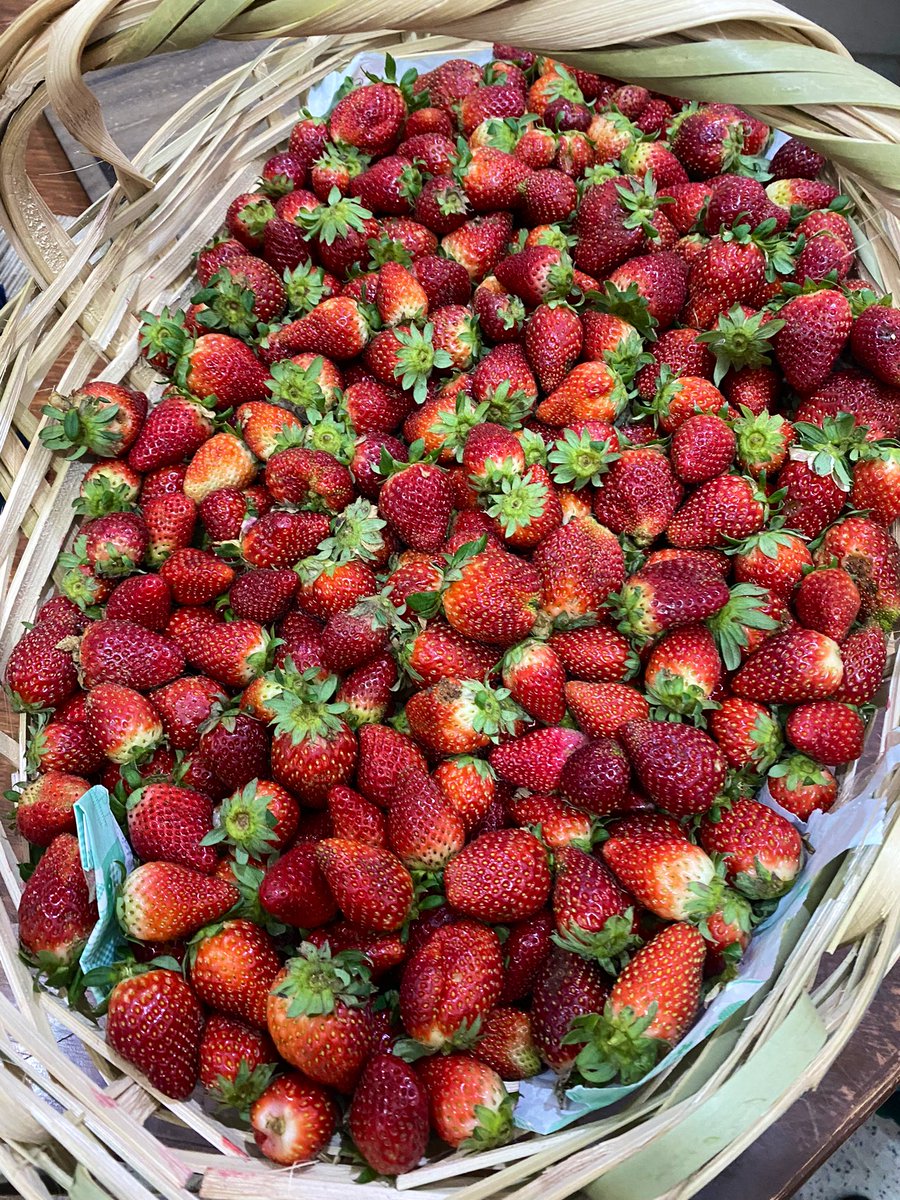 vanev87's tweet photo. Llego al departamento y veo que papá trajo su producción de frutilla 😍🍓

Vendo frutilla! 🙌🏻 https://t.co/jWfPzmL4kh