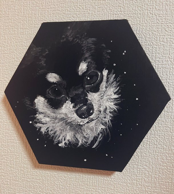 宇宙猫みたいな犬になった 