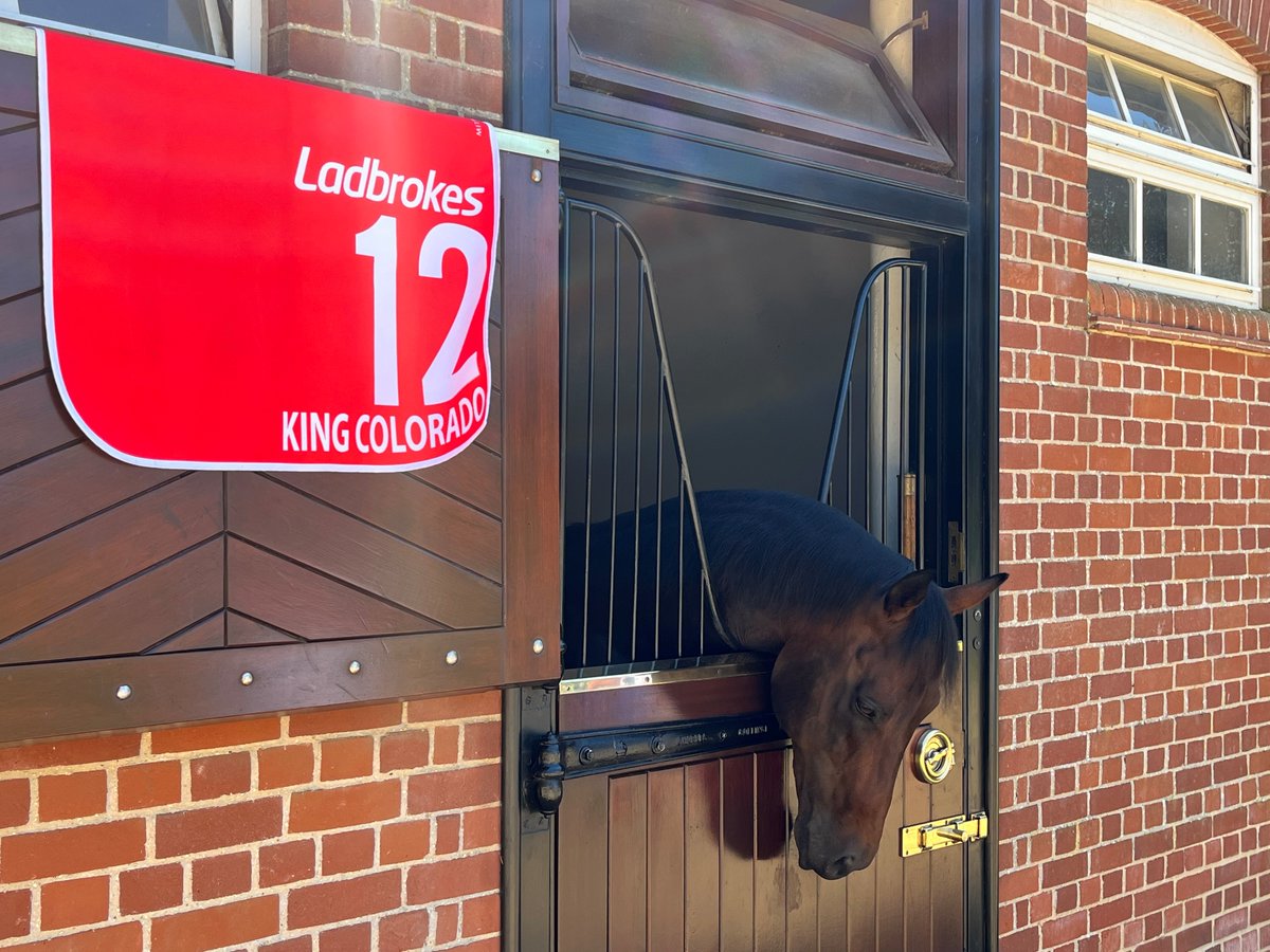 BrisRacingClub's tweet photo. Ladbrokes JJ Atkins G1 winner King Colorado's saddlecloth proudly on display over his sire Kingman’s stable door at Juddmonte Farm in Newmarket. Kingman recently became the 2nd fastest stallion in history to sire 50 NH bred stakes winners, a record held by his barn mate Frankel. https://t.co/LoGFrZtPw9