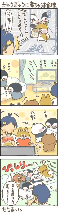 しまむらオンラインでおきゃこまグッズ販売予約中!
寝るときも一緒じゃなきゃ困ります～
しまむらオンラインはこちら
→https://t.co/1tNKb7rE5D
#お客様困ります #おきゃこま #寝具 #しまむら #予約 