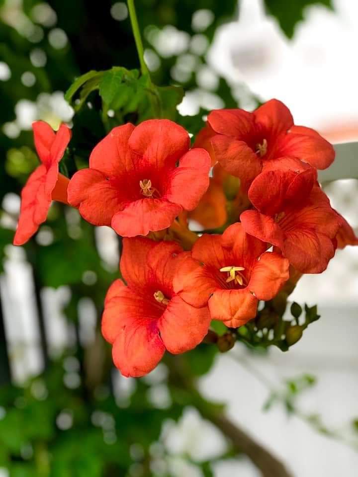 74ceff6b903445b's tweet photo. Hello dear friends 🙏😄
Have a beautiful Thursday 🏵️ https://t.co/ZT0D9F8rvu