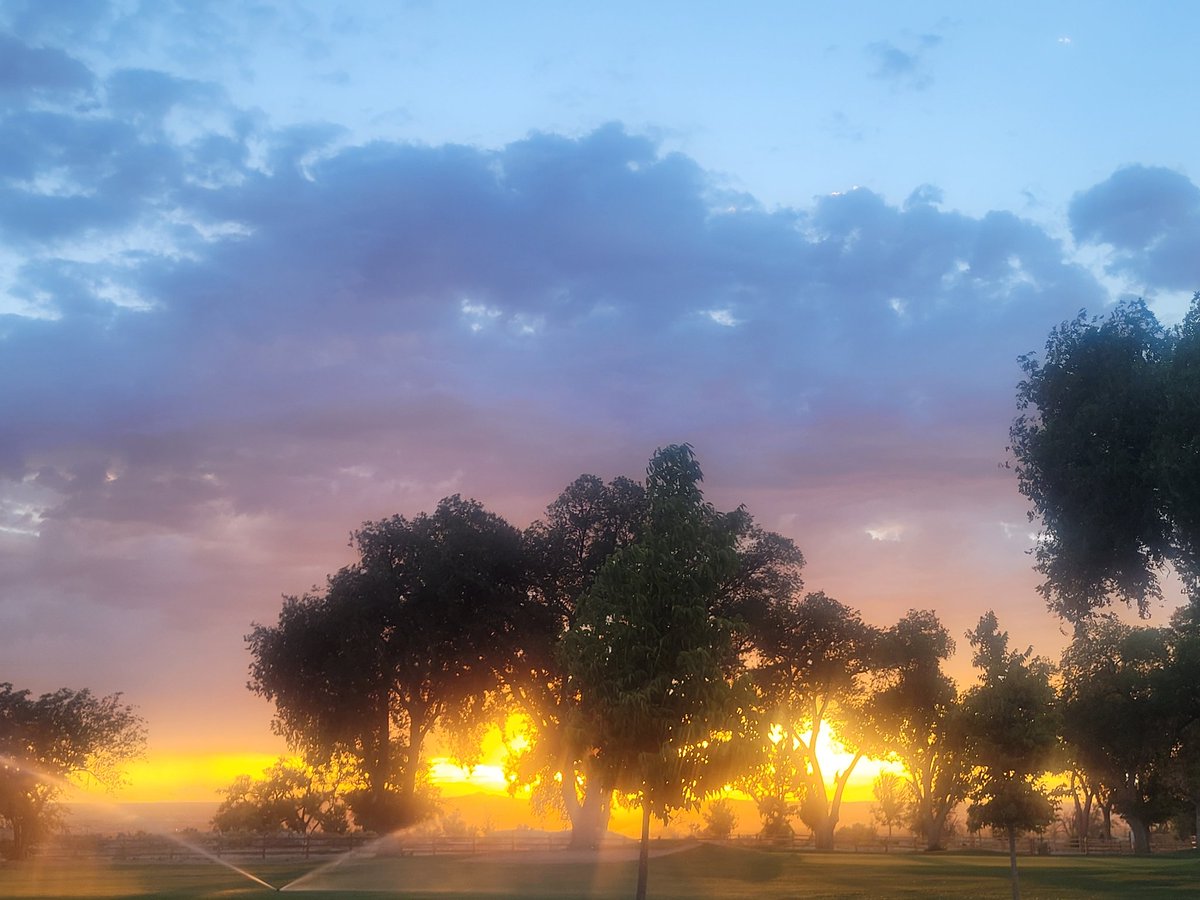 ElianeElHayek's tweet photo. You can't hide the light. Be fair and help its power to grow a tree beautifully..
#BeaTree #BeaLeader https://t.co/jHQ7008PDh