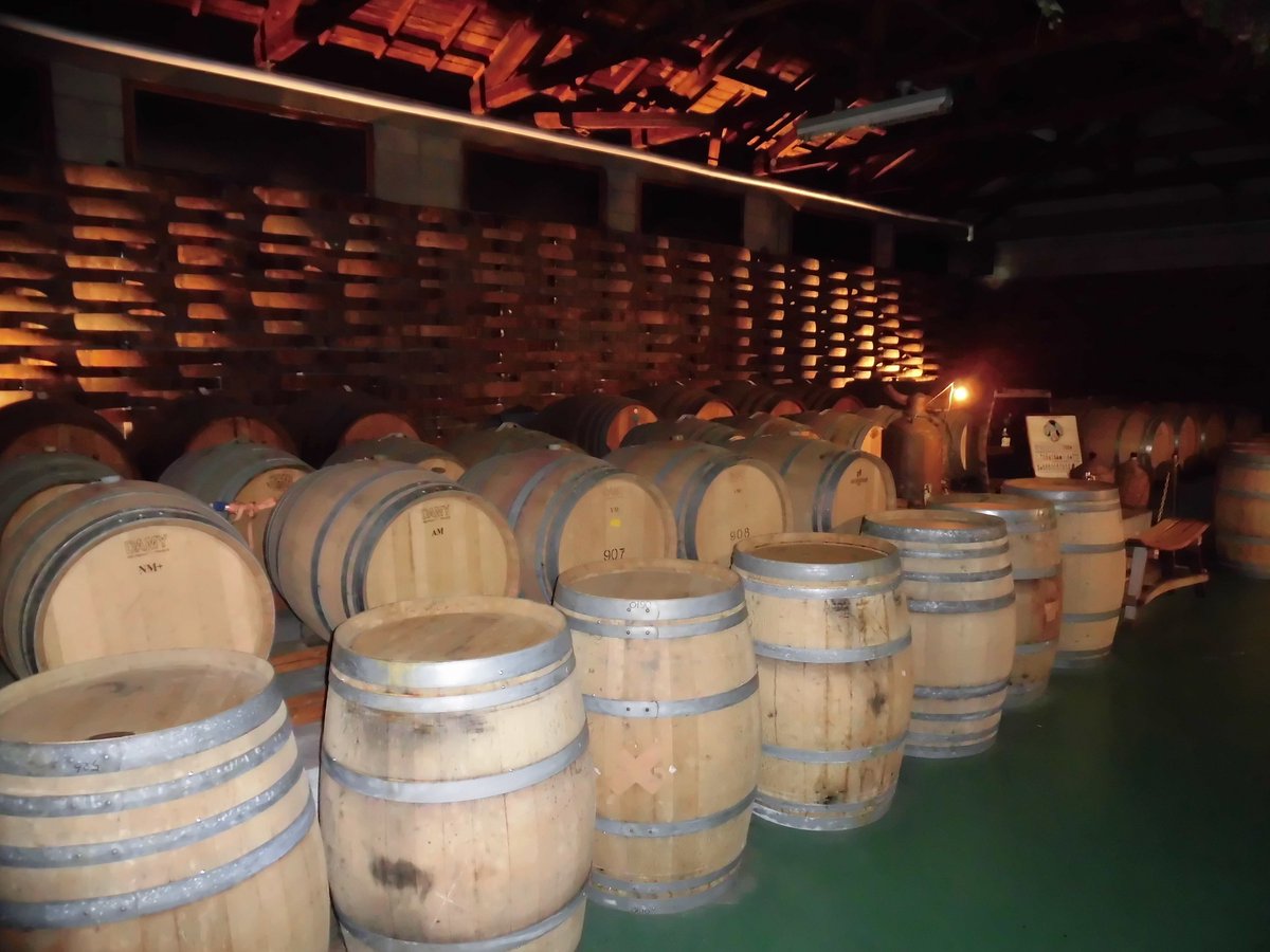 mondewinery's tweet photo. 【ワイン工場見学再開のお知��せ🍷】
モンデ酒造の工場見学再開を期待してくださる皆様へ、長らくお待たせいたしました！
お待ちかねの工場見学が、ついに再開いたします🎊
＃完全予約制
＃時間人数制限あり
詳細は画像をご確認ください🤗 https://t.co/ePlS7HjbJN