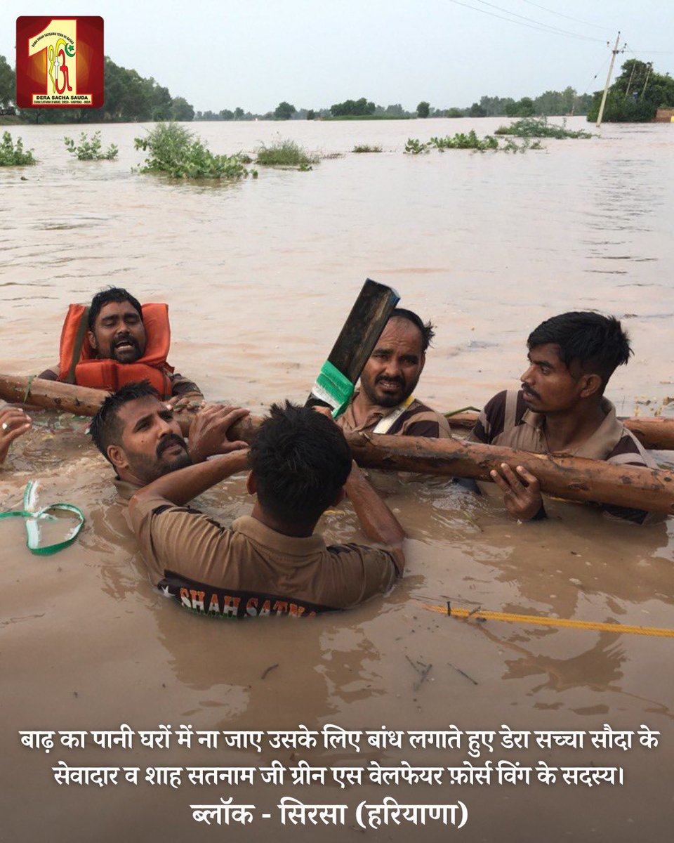 #DeraSachaSauda volunteers fearlessly defy floodwaters, demonstrating unwavering dedication to their mission of saving lives. Their bravery knows no bounds! See glimpses here! #SaintDrMSG #RamRahim #DisasterRelief #Humanity