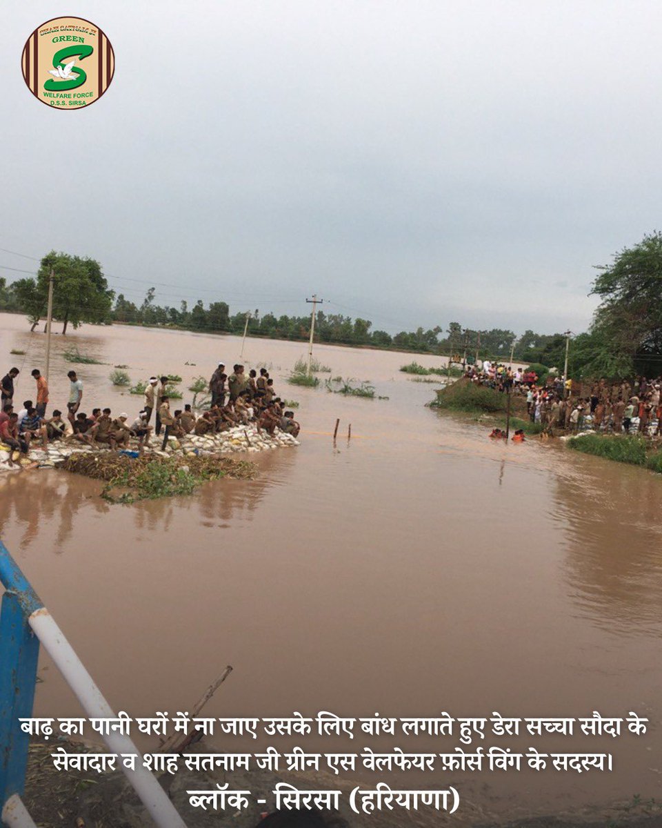 #DeraSachaSauda volunteers fearlessly defy floodwaters, demonstrating unwavering dedication to their mission of saving lives. Their bravery knows no bounds! See glimpses here! #SaintDrMSG #RamRahim #DisasterRelief #Humanity