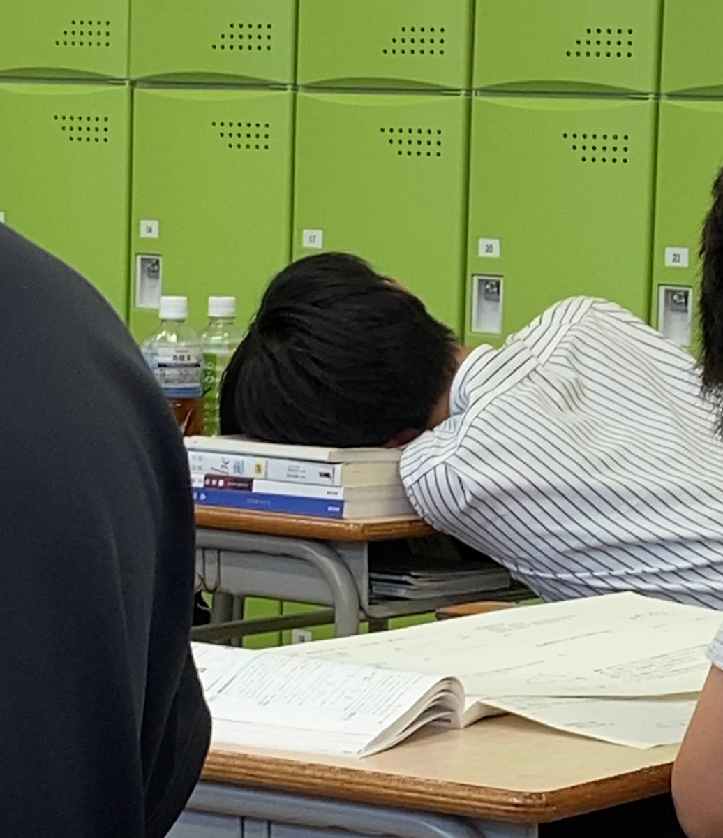 Negi_Allium_'s tweet photo. 君たちはどう睡眠を取るか https://t.co/AaQAn3S3aE