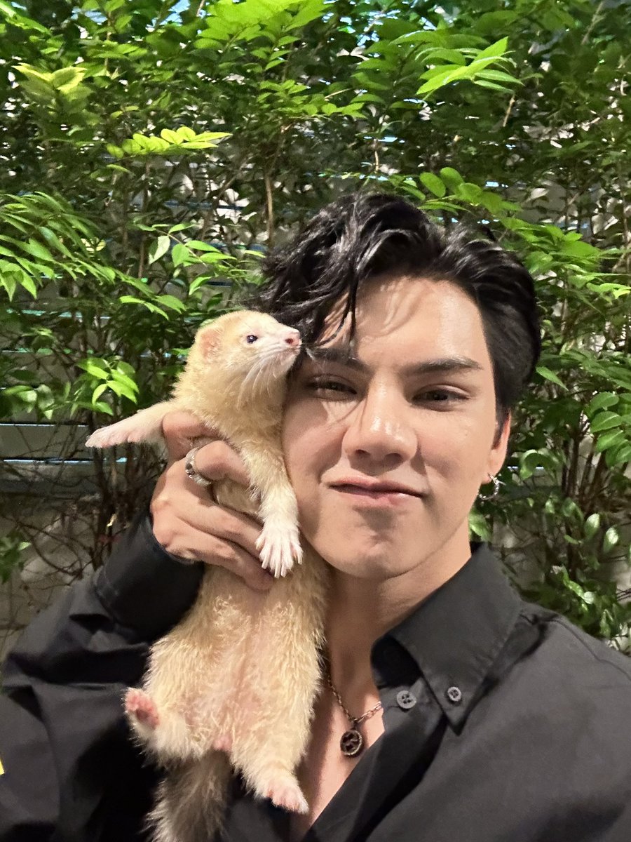 fort_fts's tweet photo. เมื่อคุณอยากถ่ายรูปกับลูกๆของคุณ 555
❤️‍🔥❤️‍🔥
#FerretPapaFort
#FortFTS #ComeFortZon #BabyFeat https://t.co/vxlIea95Dw