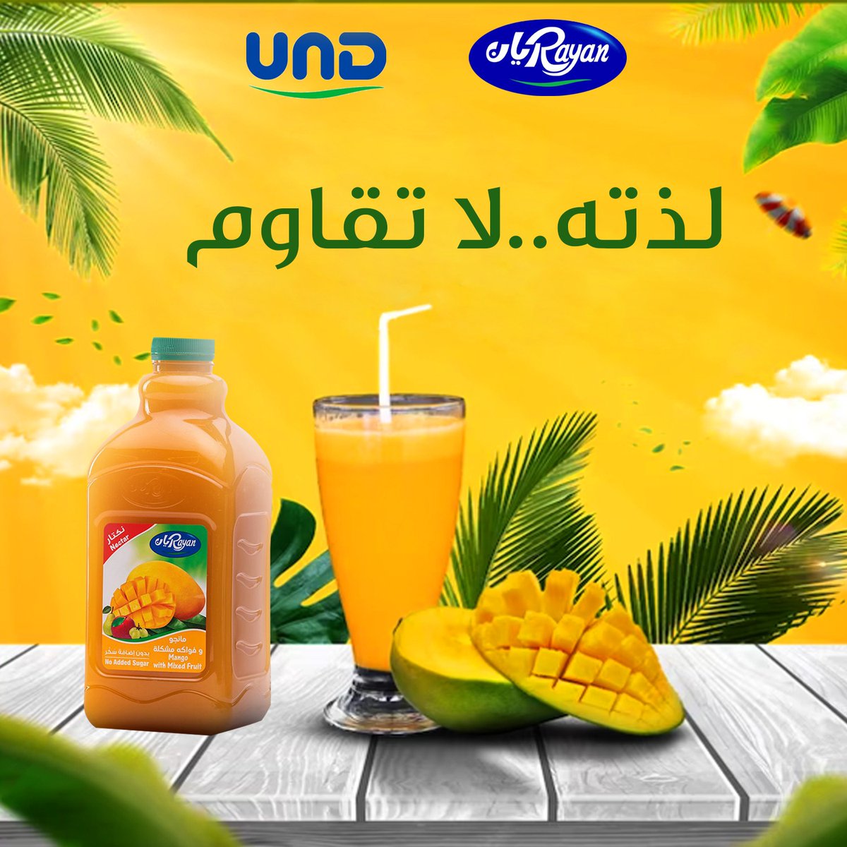 Rayan ريان tweet media