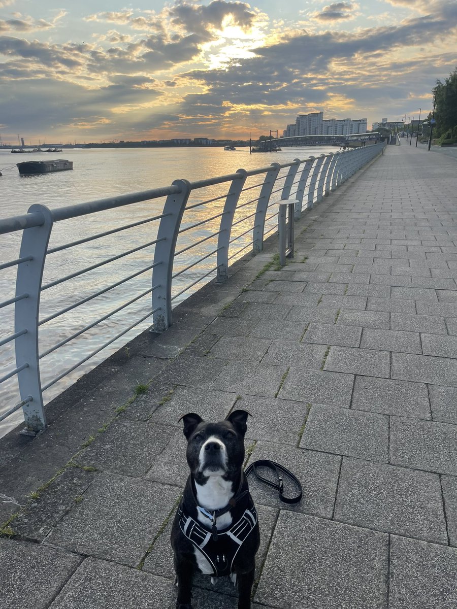 EmmaRich92's tweet photo. Nice early morning walk with my sisters dog Bruno! @Amy_Lowry_ clears out the mind! @MY_LenRichards @EllieRich01 https://t.co/z3zlYIsmTX