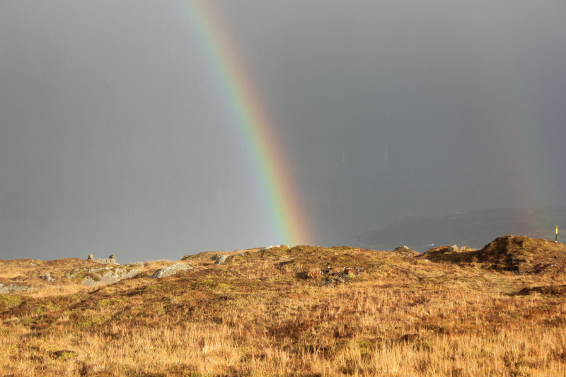 Daily Wisdom - mailchi.mp/wccm/ywfciz5o8…