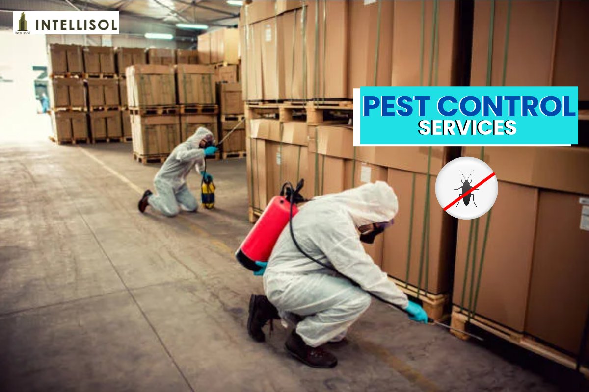 intellisolispl's tweet image. &quot;Revive Your home and office: Top-Quality Pest Control Services for your home and office&quot; 
#pestcontrol #pestcontrolservice #pestcontroller