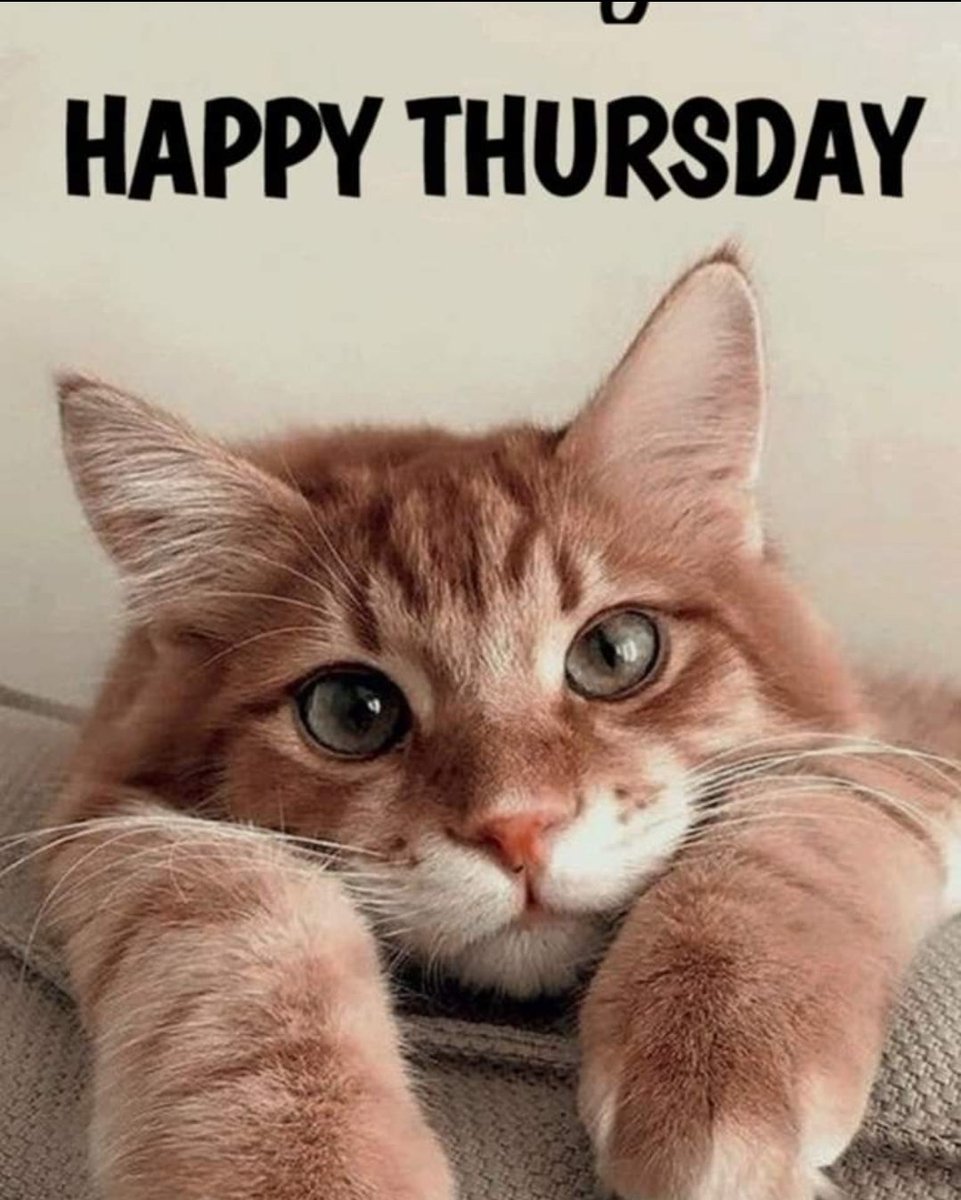 Morning legends.
It's just a little bit of fun to brighten your #thursday, help you get through the rest of the week.
And just in case you haven't been told this week, #youramazing 
Have an amazing day 💛 

#DontManUpSpeakUp 
💚as always, big love 💪 💚