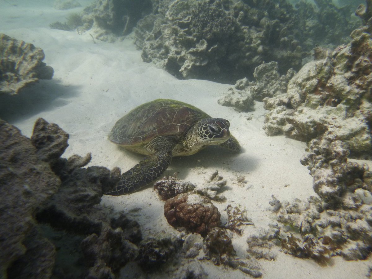 Jon Evans tweet media