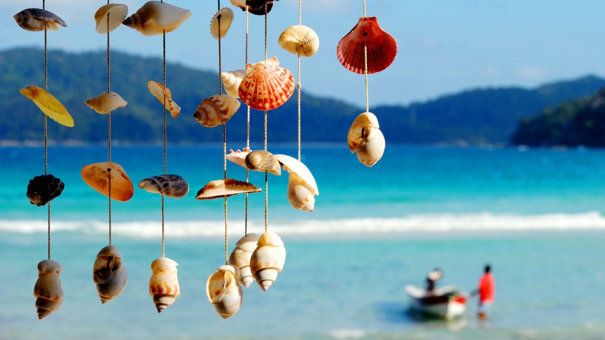 Seashell Crafts: DIY Projects for Beach Lovers - caprineli.com/seashell-craft… #seashellcrafts #beachcrafts #diybeach #oceanart #beachdecor #coastalstyle #beachlife #seashells #beachcombing #seashellcollection #seashellart #beachhouse #beachvibes #coastaldecor #beachy #beachydeco...