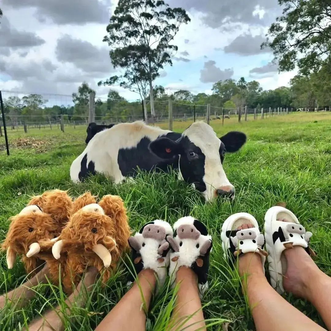 cowlovers4's tweet photo. https://t.co/KbCt0RJIwm