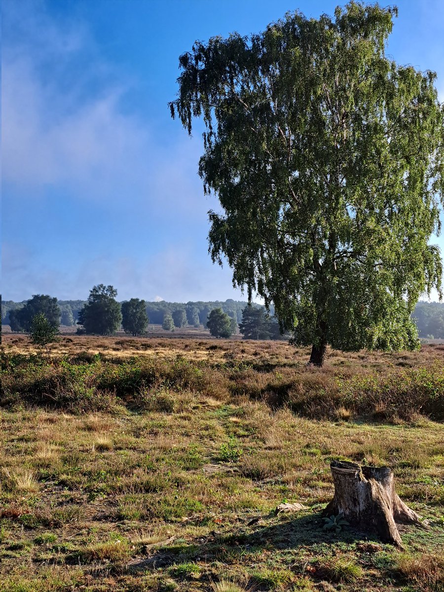 Goeiemorgen, de dag begint mooi. Geniet ervan!