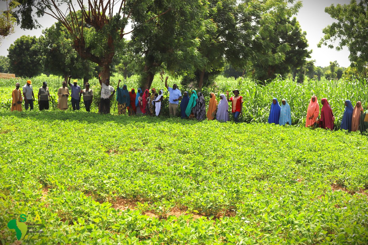 NigeriaSasakawa's tweet photo. #Inclusion In Jigawa State, Northwestern Nigeria, our country team, the Strategic Partnerships Director Dr Mel &amp; the Lead, Regenerative Agriculture @KabiriStella, have visited the Chandan Women MPCS during a supervisory visit to the state.  F/ by @NipponZaidan https://t.co/8IIlA4aSYJ