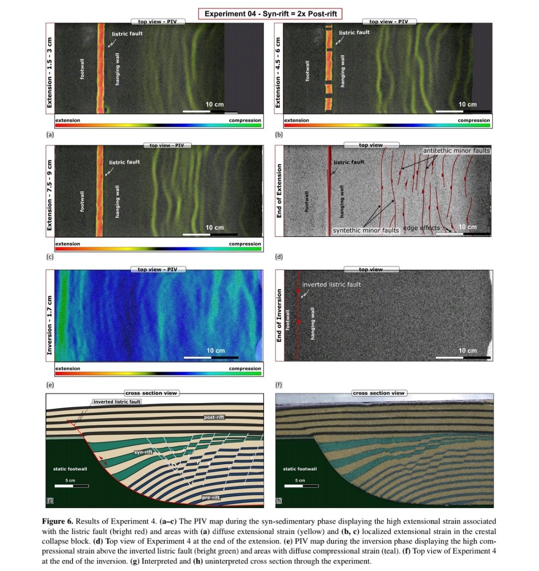 Alexandra Tamas tweet media