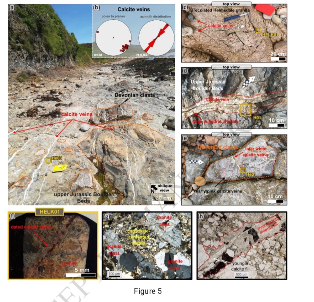 Alexandra Tamas tweet media
