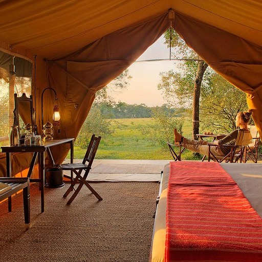 ElePepperCamp's tweet image. Greet the glorious sunrise from your cozy tent patio - A safari experience unlike any other! Feel ultimate bliss while embracing nature's golden hues - Beauty at its finest!

#SunriseMagic #NatureEscape #TentLife
