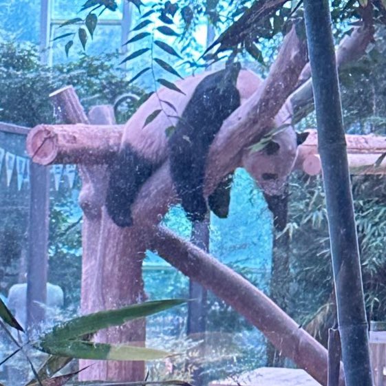 jungwooyy's tweet image. แฟนคลับ                                           ไอดอล