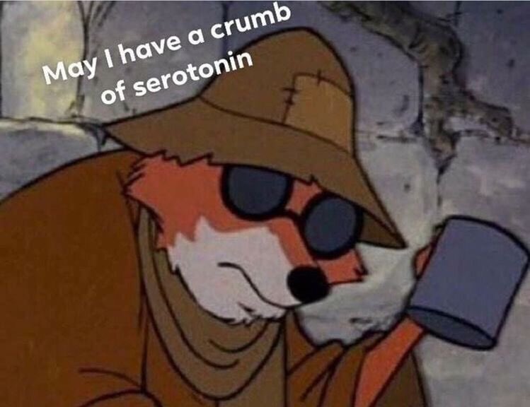 sahanarasimhan's tweet photo. It’s been officially 24 hours. Will my instagram ever go back to normal? Low-key losing it now. #instagramdown https://t.co/bemvqRZN68