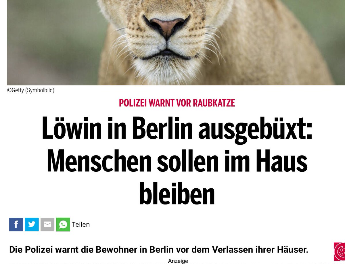 KettllMaxi's tweet photo. Klimakleben abgesagt! https://t.co/oi7Q4unM5H