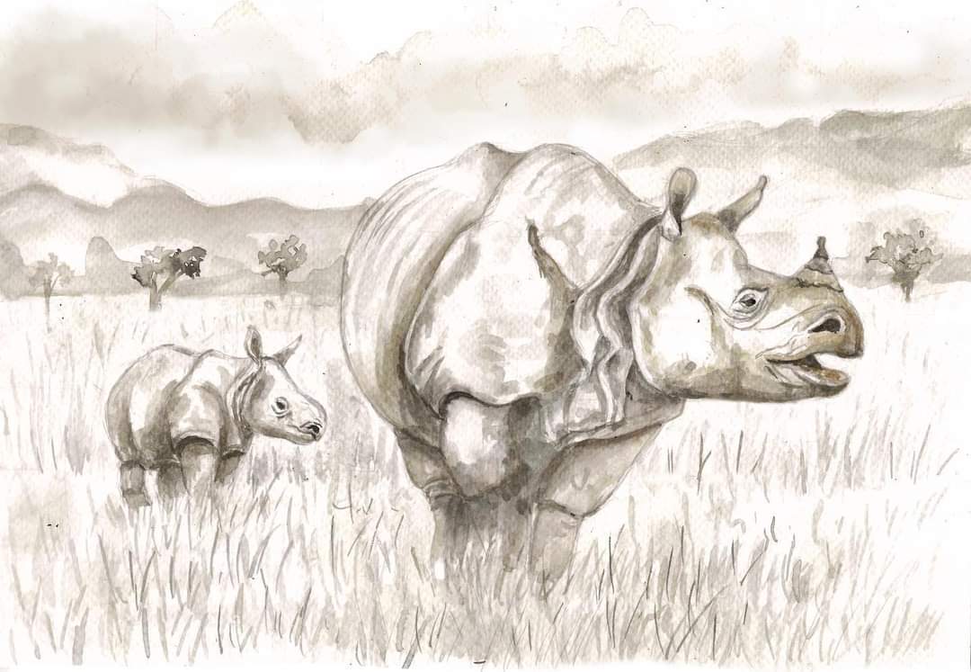 One-horned Rhino, once widespread in India, is now limited to Assam and now at Dudhwa National Park, UP.

Ink on watercolour paper

#assam #onehornedrhino #blackandwhitesketch #vintagelook #endangeredanimals #wildlifeconservation #indiaves #TwitterNatureCommunity