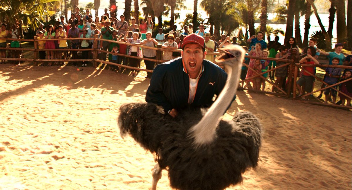 The_Tommy_Hough's tweet photo. I guess I shouldn't be surprised an #AdamSandler movie about a family trip to #Africa would include awful behavior like humans riding #Ostriches and obnoxious tourists tearing up #African #Wilderness on #OHVs, even though the "African" resort looks like a mall-styled #ThemePark https://t.co/m3wEvxIygL