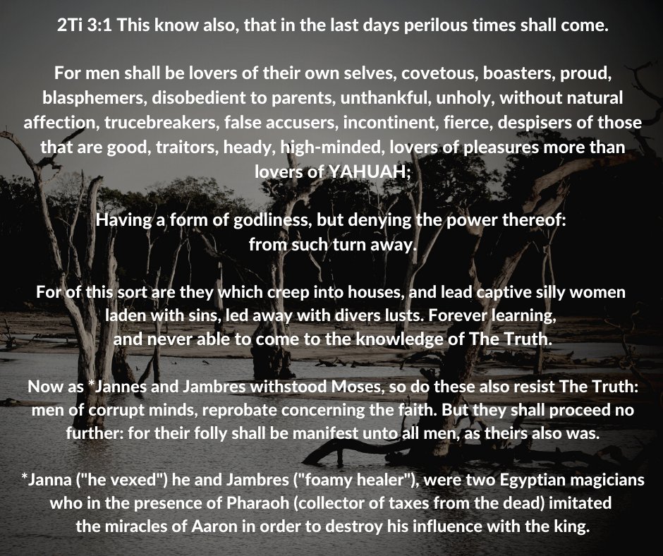 ThundersSeven's tweet photo. 1 Cor 6:9 Or do you not know that the #unjust ones shall not inherit the #Kingdom of #YAHUAH? 
Do not be led #astray, neither #fornicators, nor #idolaters, nor #adulterers, nor #abusers, nor #homosexuals [G3120], nor #thieves, nor #covetous ones, nor #drunkards, nor #revilers, https://t.co/mdS98jFm5A