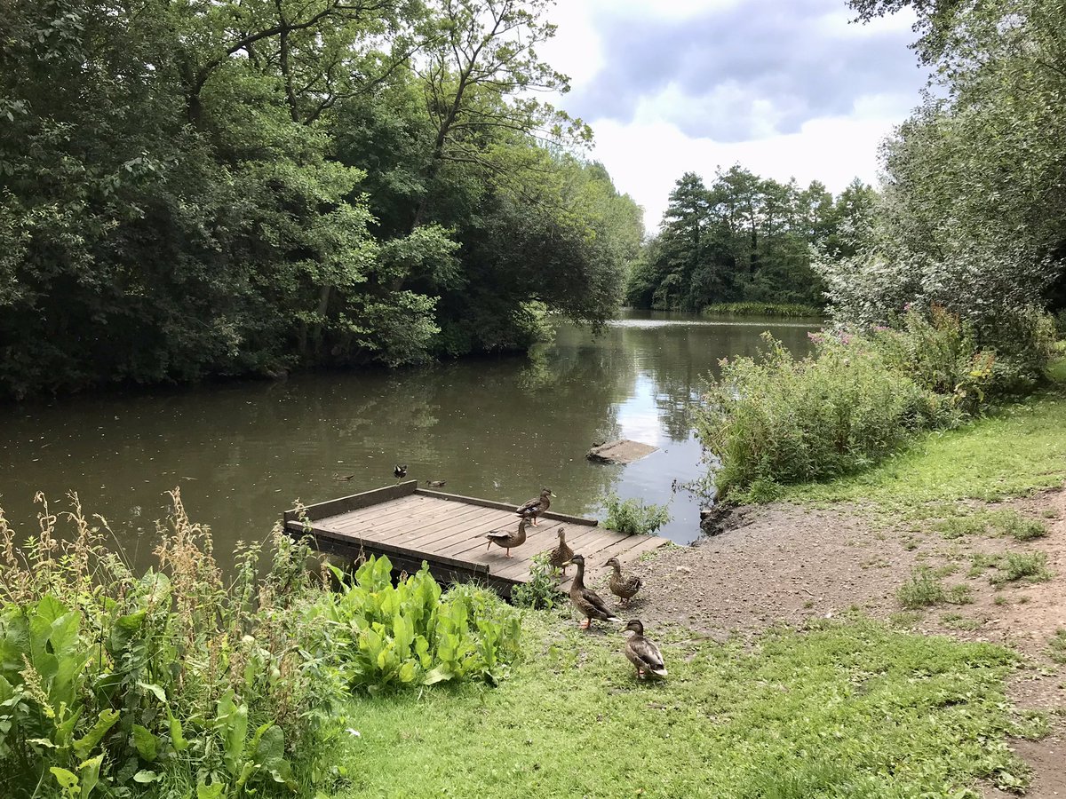 coal_legacies's tweet image. From Smotherfly opencast and into #Pinxton #Derbyshire along what remains of the #canal arm, must be 20 years since my last visit. The #bing,  trackbed of mineral railway, the wharf still remain and a short stretch still in water.
#coal #miningheritage #towpathtrails #explore