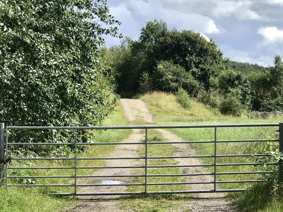 coal_legacies's tweet image. From Smotherfly opencast and into #Pinxton #Derbyshire along what remains of the #canal arm, must be 20 years since my last visit. The #bing,  trackbed of mineral railway, the wharf still remain and a short stretch still in water.
#coal #miningheritage #towpathtrails #explore