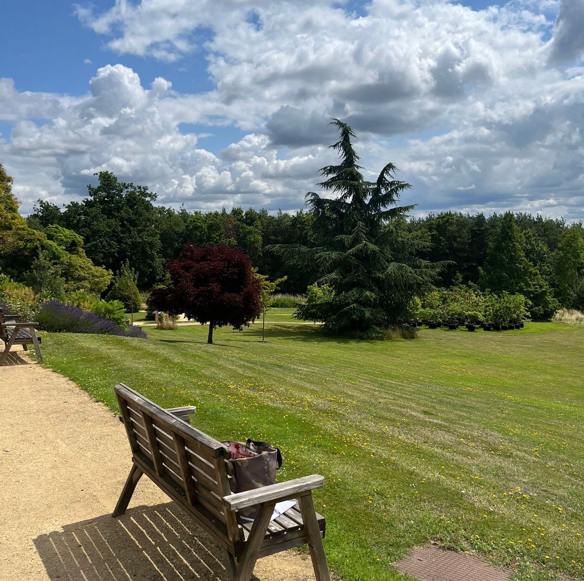 Surrey Youth Voice tweet media