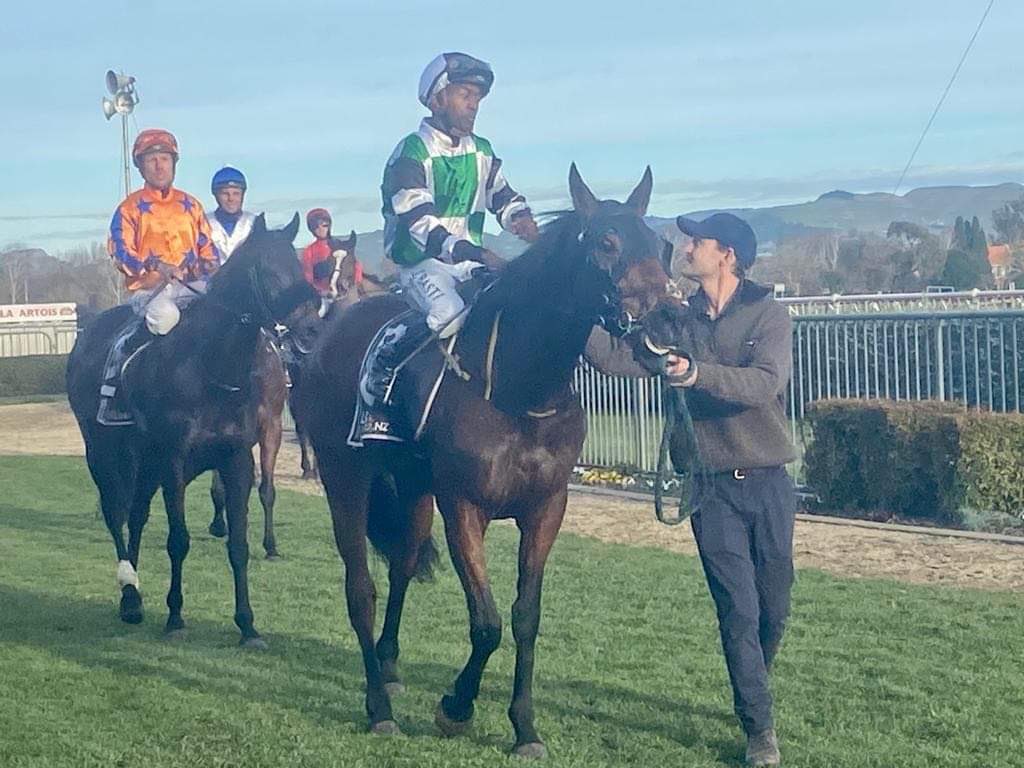 Brighthill Farm tweet media