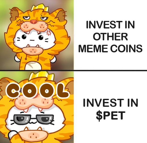 holderofbitcoin's tweet photo. @3orovik $PET #BitcoinCats #HelloPetsLabs https://t.co/dTLCGIKstg