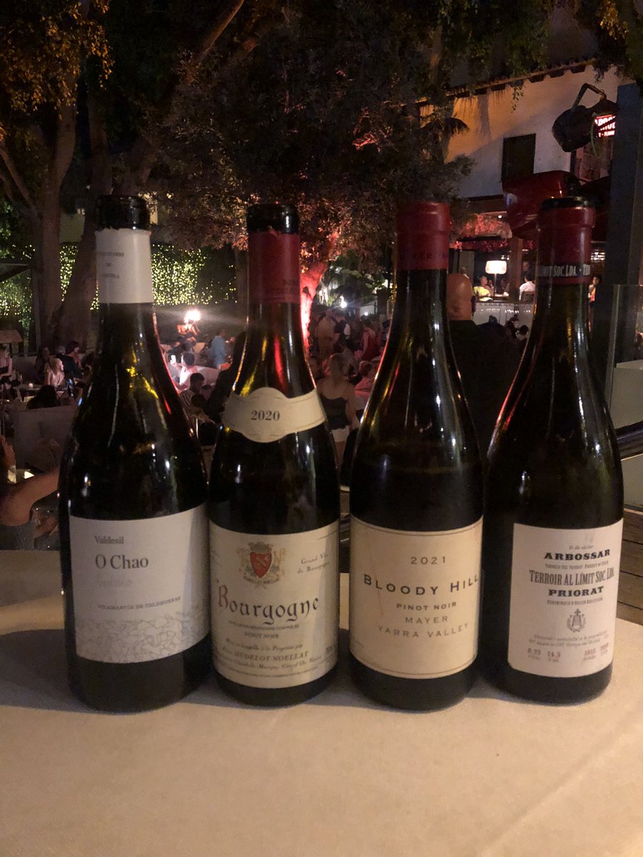 RafaPenaP's tweet photo. Territorio de un #topsomm @juanmagomper @lenadanigarcia #marbella #valdesilbodega #hudellotnoellat #bloodyhill @terroirallimit #vino #wine https://t.co/PF7UWwTLCs