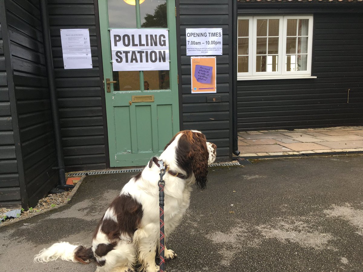 Thought I would go early to avoid the queues #SelbyAndAinsty
#DogsAtPollingStations