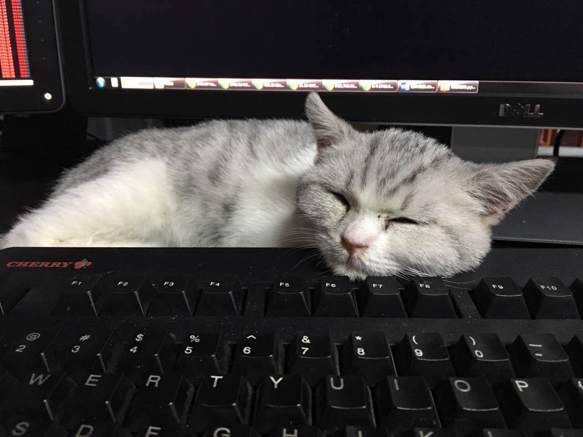 Writing code is tiring~~ My name is coco, friend of Satoshi.