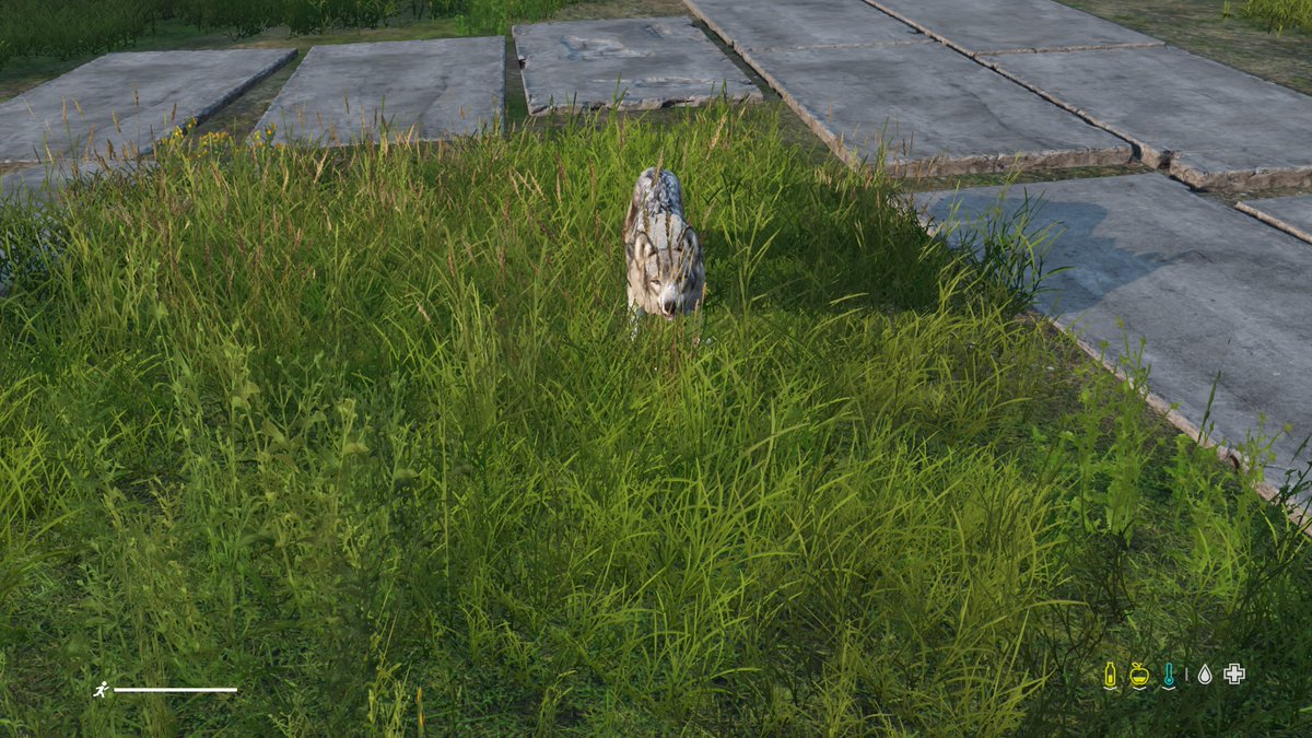 DayzTeam1's tweet photo. #PS4share https://t.co/221I3ScZtt