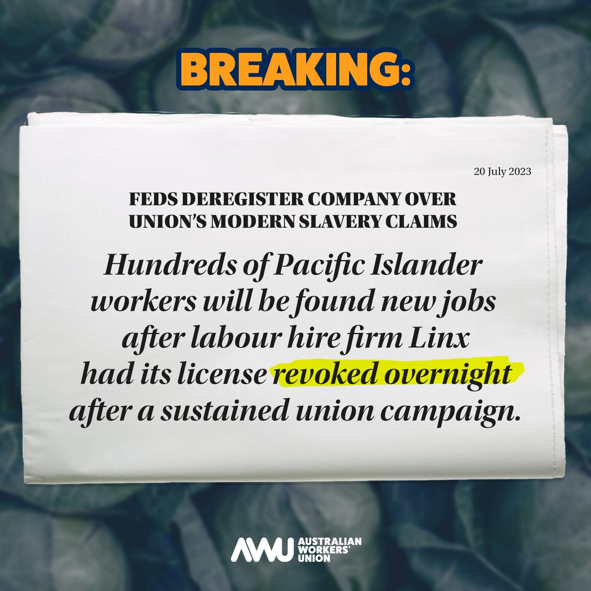 AWUnion's tweet photo. Employers who treat workers like slaves should not be allowed to operate. End of story.

#AWU #AWUnion #ausunions #auspol #unionsaus #linx #farmworkers https://t.co/R8bkZjscHG
